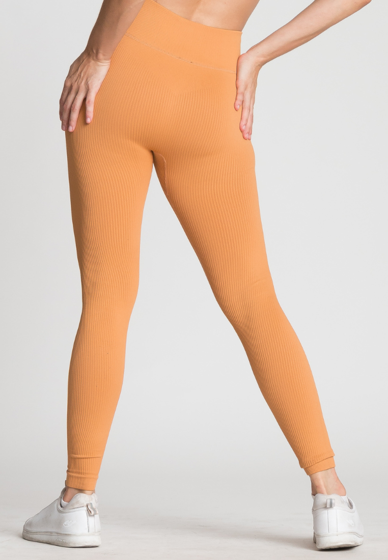 Kamala Seamless Ribbed Leggings