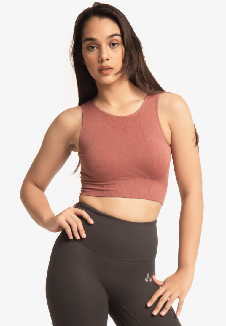 Chloe Mesh Crop Top Bra