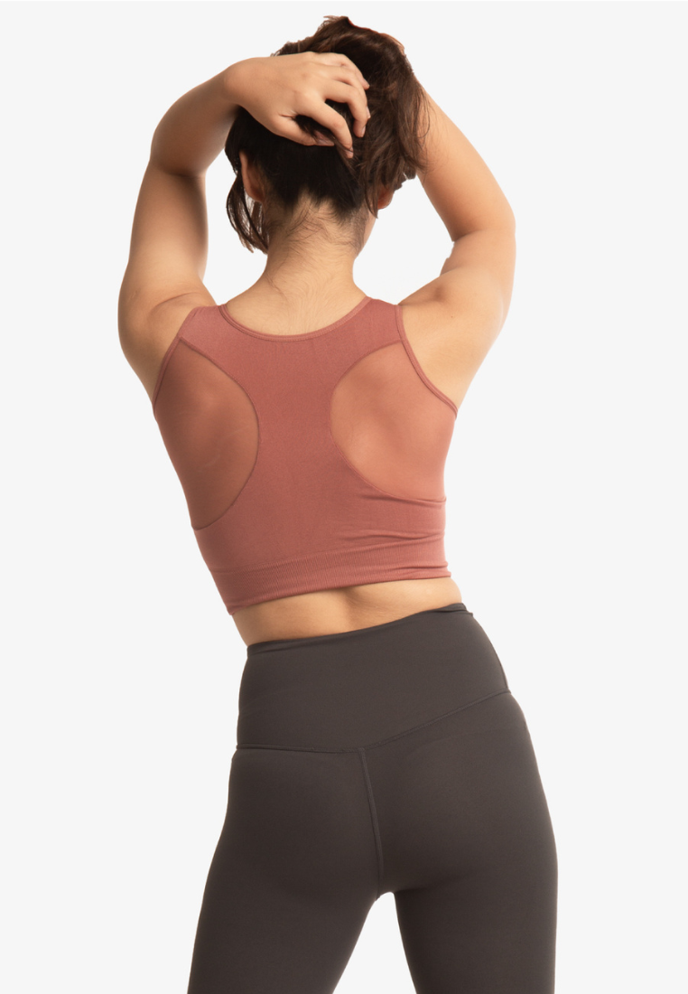 Chloe Mesh Crop Top Bra