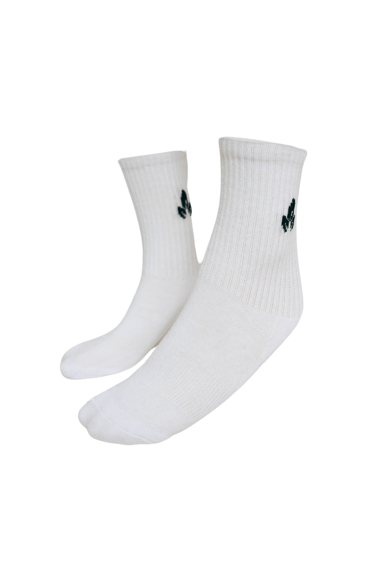 Core Collection: Cotton Terry Sole Comfort Women Socks