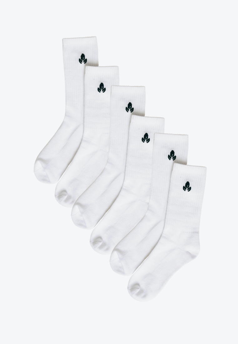 Core Collection: Womens Cotton Terry Sole Sports Crew Socks Set of 3