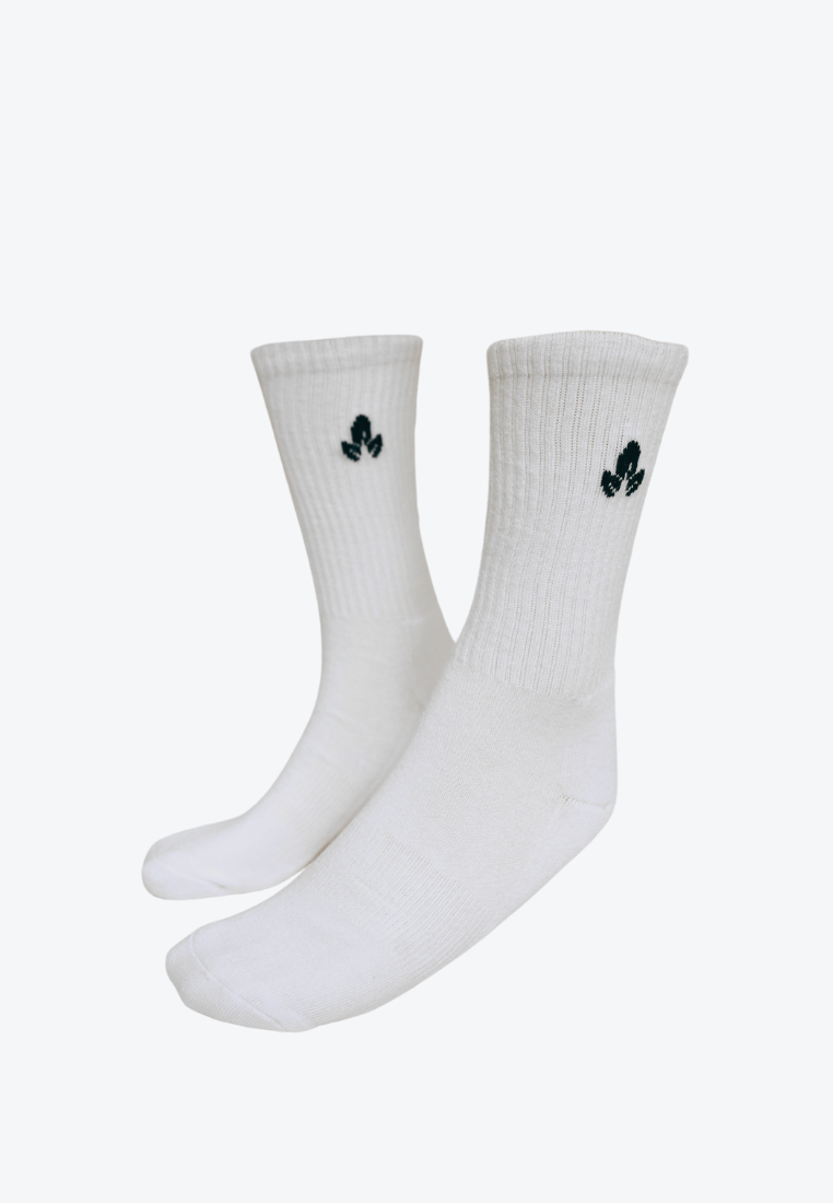 Core Collection: Womens Cotton Terry Sole Sports Crew Socks Set of 3